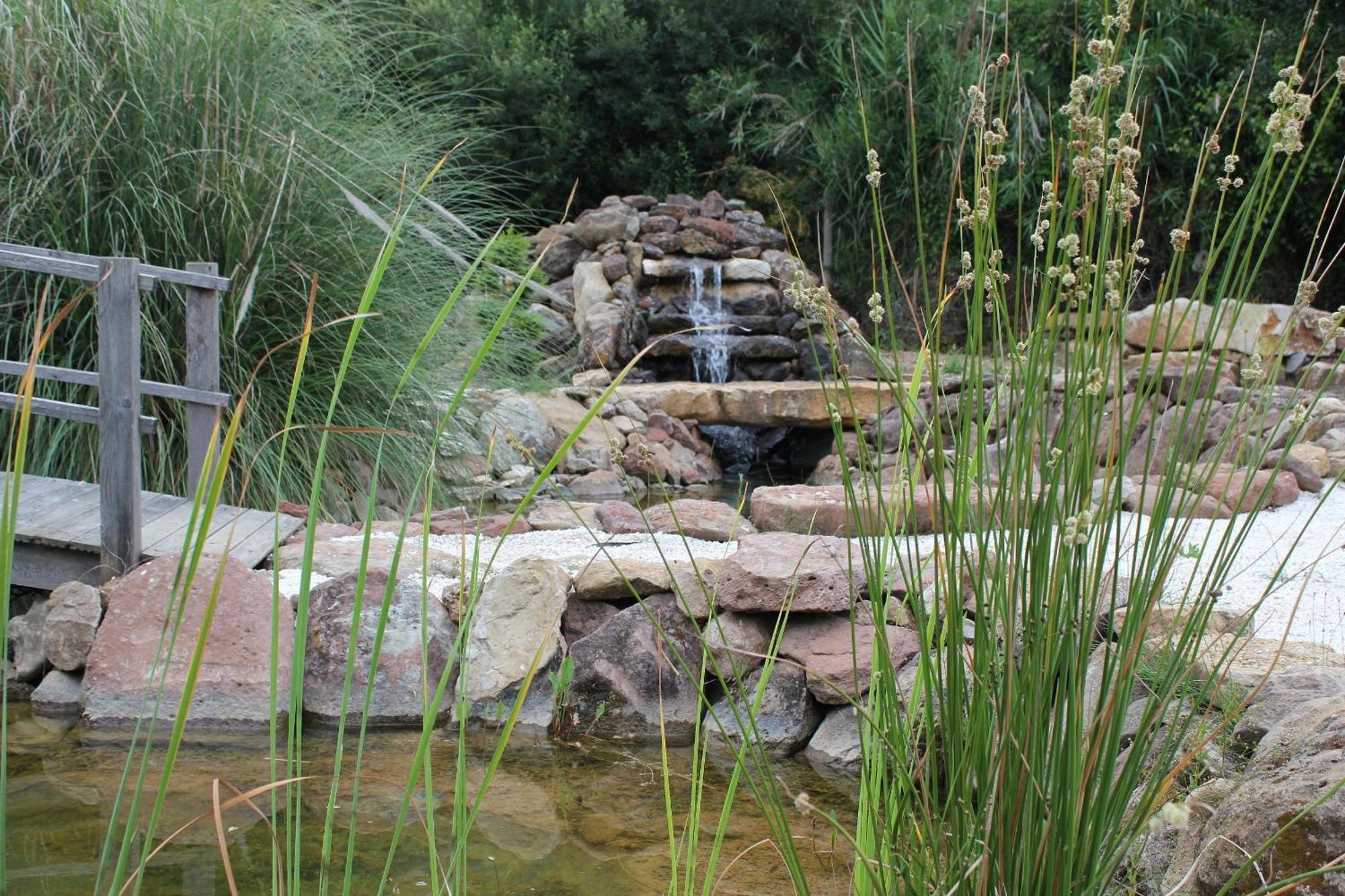 Bed and Breakfast Quinta Japonesa à Carvalhal Bemfeito Extérieur photo